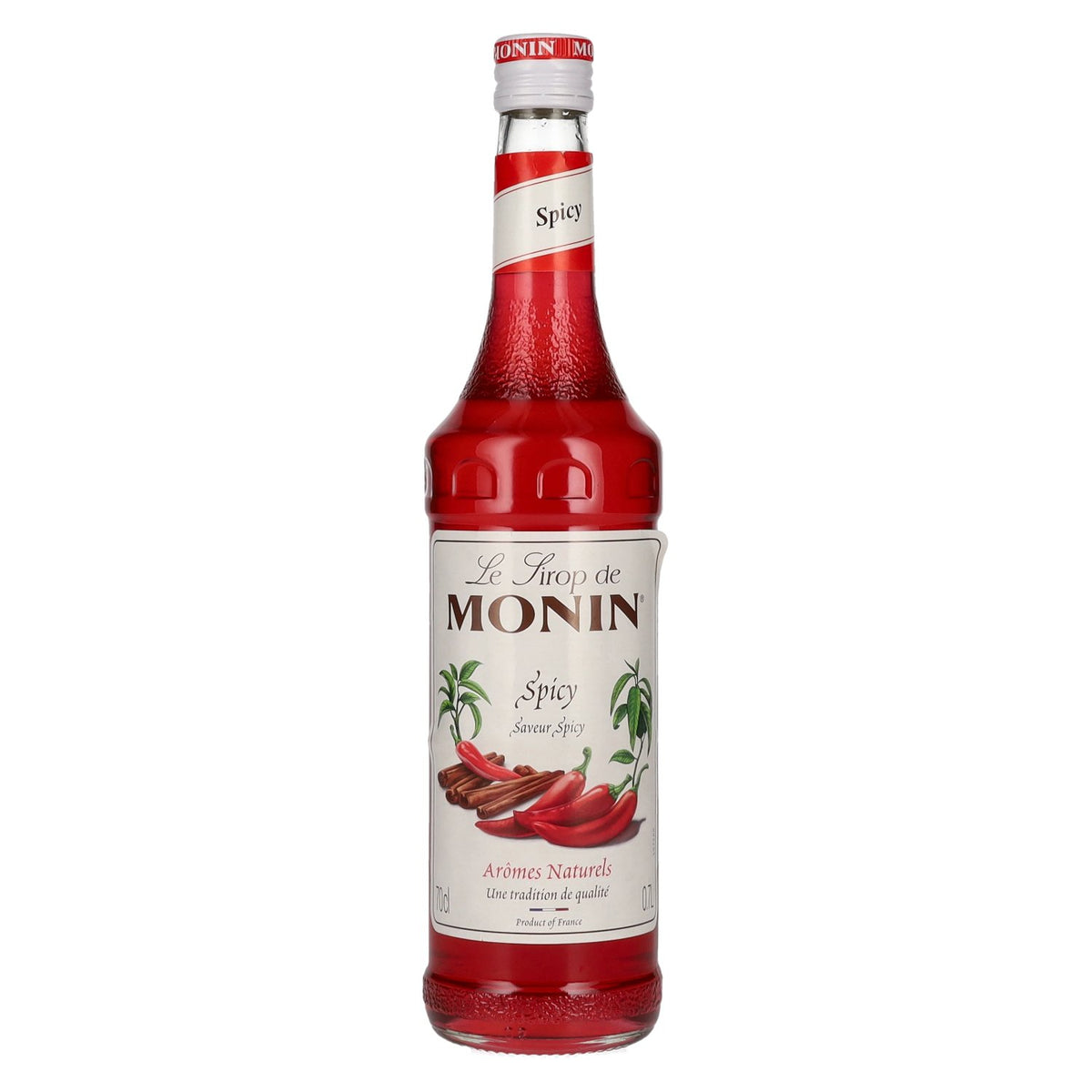 Monin Spicy Syrup 0.7l