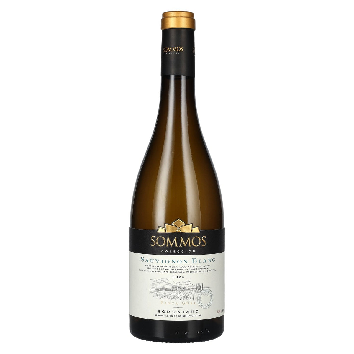 SOMMOS Colección Sauvignon Blanc Somontano D.O.P 2024 13.5% Vol. 0.75l