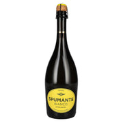 Hochriegl Spumante Bianco 11% Vol. 0.75l