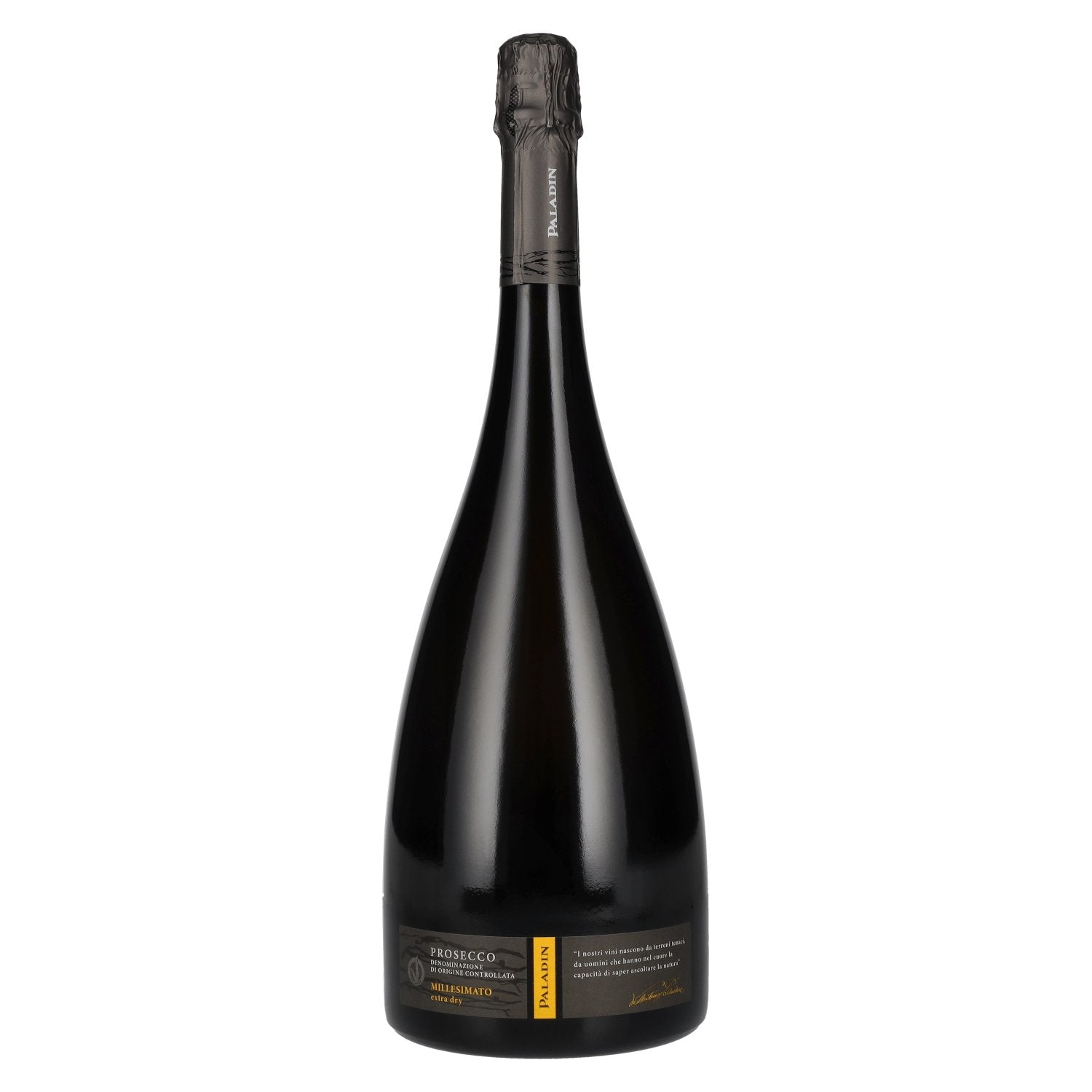 Paladin Prosecco Millesimato Extra Dry DOC 2023 11% Vol. 1.5l