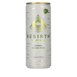 REBIRTH Supreme Organic Drink Ginger-Mint 0.25l Can Deposit