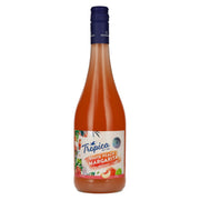 Katlenburger Tropica Cocktail White Peach Margarita 7% Vol. 0,75l