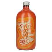 Big Gino Gin ORANGE PASSION 38% vol. 1 litre