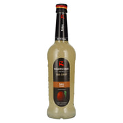 Riemerschmid Bar Syrup Coconut 0.7L