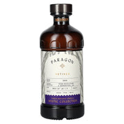 Monin Paragon VETIVER Single Botanic Cordial Mystic Collection 0,485l